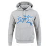 ARC'TERYX ARC 투톤 아크 버드 나염 후드