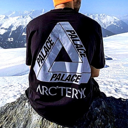 아크테릭스 ARC