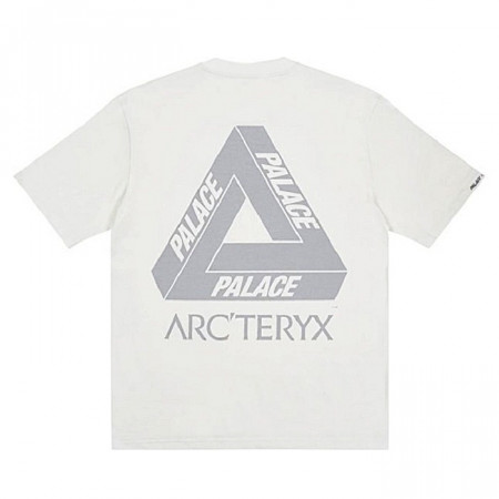 아크테릭스 ARC