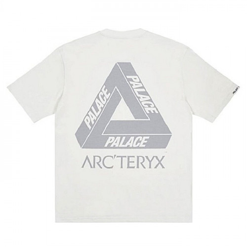 아크테릭스 ARC